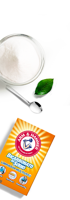 Dale frescura a tu vida con cada producto de la marca