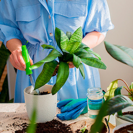 Haz que tus plantas crezcan más con Bicarbonato de Sodio Arm & Hammer™.