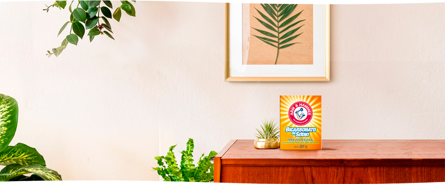 Arm & Hammer refresca con su poder natural